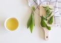 A cup of herbal tea against cough with fresh ribwort plantain leaves.Hebal medicine. Minimalism. Beautiful spring wildflowers . Royalty Free Stock Photo