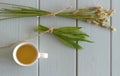 A cup of herbal tea against cough with fresh ribwort plantain leaves.Hebal medicine. Minimalism. Beautiful spring Royalty Free Stock Photo