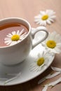 Cup of herbal tea and camomile flowers Royalty Free Stock Photo