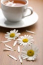 Cup of herbal tea and camomile flowers Royalty Free Stock Photo