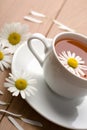 Cup of herbal tea and camomile flowers Royalty Free Stock Photo
