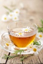 Cup of herbal tea with chamomile flowers