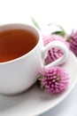 Cup of herbal tea and clover flowers Royalty Free Stock Photo