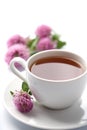 Cup of herbal tea and clover flowers isolated Royalty Free Stock Photo