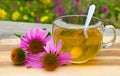 Cup of herbal tea from echinacea. Royalty Free Stock Photo