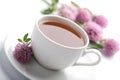 Cup of herbal tea and flowers isolated Royalty Free Stock Photo