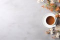 Cup of herbal tea with flowers, top view on light grey background with copy space Royalty Free Stock Photo