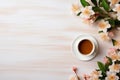 Cup of herbal tea with flowers, top view on light grey background with copy space Royalty Free Stock Photo