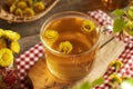 A cup of herbal tea with fresh coltsfoot flowers on a wooden table. Herbal medicine