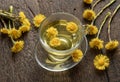 A cup of herbal tea with fresh coltsfoot plant
