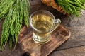A cup of herbal tea with fresh horesetail twigs Royalty Free Stock Photo