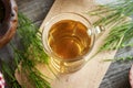 Horsetail tea with fresh plant