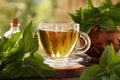 A cup of herbal tea with fresh nettles on a table outdoors in nature Royalty Free Stock Photo
