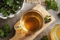 A cup of herbal tea with fresh nettles on a table Royalty Free Stock Photo