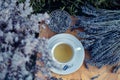 Cup of Herbal tea - Lavender tea - Blue. Lavandula angustifolia Royalty Free Stock Photo