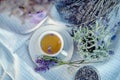 Cup of Herbal tea - Lavender tea - Blue. Lavandula angustifolia Royalty Free Stock Photo