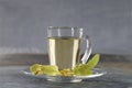 Cup of herbal tea with linden flowers Royalty Free Stock Photo