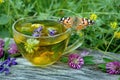 A cup of herbal tea and medicinal herbs on a wooden table. butterfly painted lady sitting on a cup of herbal tea. cold and flu rem Royalty Free Stock Photo