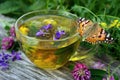 A cup of herbal tea and medicinal herbs on a wooden table. butterfly painted lady sitting on a cup of herbal tea. cold and flu rem Royalty Free Stock Photo