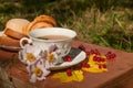 A cup of herbal tea, a plate of fresh pastry, yellow autumn leaves, ripe red currants and garden flowers on a wooden surface Royalty Free Stock Photo