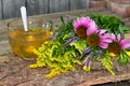 Cup of herbal tea from solidago and echinacea. Royalty Free Stock Photo