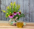 Cup of herbal tea from solidago and echinacea. Royalty Free Stock Photo