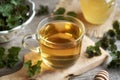 A cup of herbal tea with young nettle leaves harvested in early spring Royalty Free Stock Photo