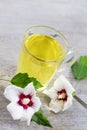 Cup of hibiscus tea with beauty flower on towel over bright wooden background- tea time