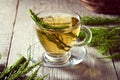 A cup of horesetail tea with fresh horsetail twigs Royalty Free Stock Photo