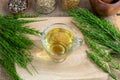 A cup of horsetail tea with fresh Equisetum arvense plant