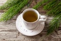 A cup of horsetail tea with fresh Equisetum arvense plant Royalty Free Stock Photo