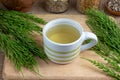 A cup of horsetail tea with fresh Equisetum arvense plant Royalty Free Stock Photo