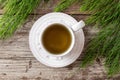 A cup of horsetail tea with fresh Equisetum arvense plant Royalty Free Stock Photo