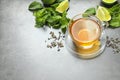 Cup with hot aromatic mint tea, lime, fresh Royalty Free Stock Photo