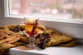 Cup of Hot AutumnTea with Apple Berry and Cinnamon Near a Window Yellow Scarf Hot Drink for Autumn Cold Rainy Days Hygge Concept A