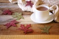 Cup of hot chocolate, autumn leaves and knitted sweater