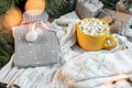 Cup of cacao with Marshmallows, grey hotty on christmas tree and sweater background.