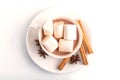 A cup of hot chocolate with marshmallow and cinnamon isolated on white Royalty Free Stock Photo