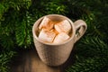 Cup of hot chocolate with marshmallow on the wooden table. Christmas decorations. Selective focus. Shallow depth of field Royalty Free Stock Photo