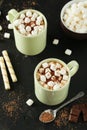 Cup of hot chocolate Royalty Free Stock Photo