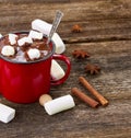 Cup of hot chocolate Royalty Free Stock Photo