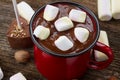 Cup of hot chocolate Royalty Free Stock Photo