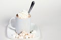 Cup of hot chocolate with whip cream and marshmallows Royalty Free Stock Photo