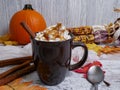 Cup of hot chocolate whipped cream, syrup and fall spices Royalty Free Stock Photo