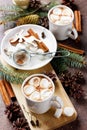 Cup of hot cocoa or chocolate with marshmallows on wooden background Royalty Free Stock Photo