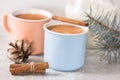 Cup Of Hot Cocoa Or Hot Chocolate On Stone Background With Cinnamon Sticks. Traditional Beverage For Winter Time, Vintage Toning.