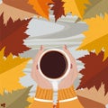 Cup of hot cocoa in woman`s hands holding it over wooden autumn background with leaves. Top view. Warm drink concept