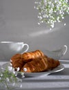 A cup of hot coffee and a croissant what could be better in the early morning