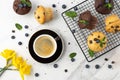 Cup of hot coffee, fresh baked muffins with chocolate chips, blueberry berries and mint leaves on white marble table background Royalty Free Stock Photo