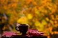 Cup of hot coffee and red leaves on window Royalty Free Stock Photo